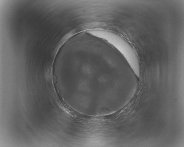X0000070180099200606091517