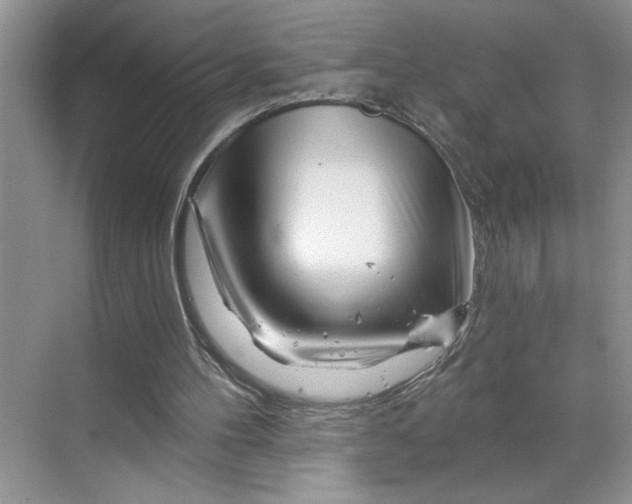 X0000070180100200606091517