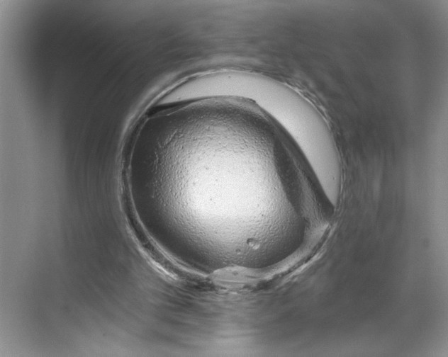 X0000070180101200606091517
