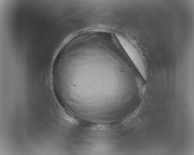 X0000070180102200606091517