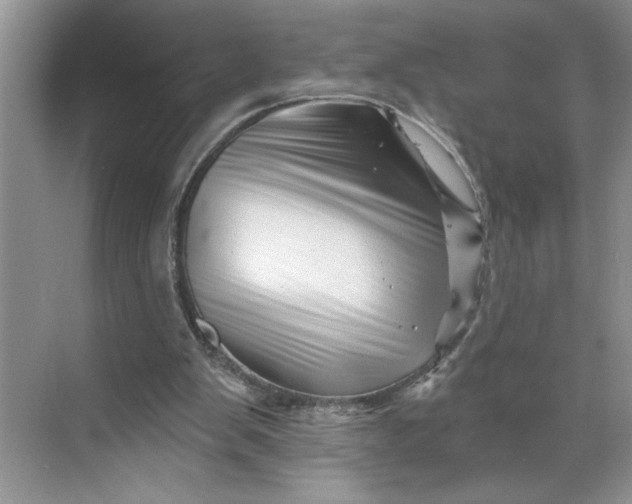 X0000070180103200606091517