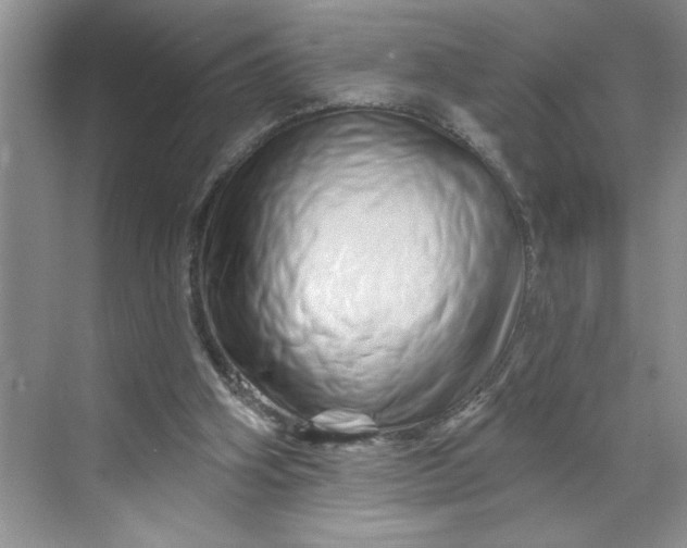 X0000070180106200606091517
