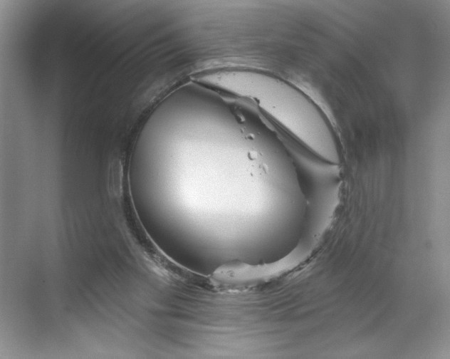 X0000070180109200606091517