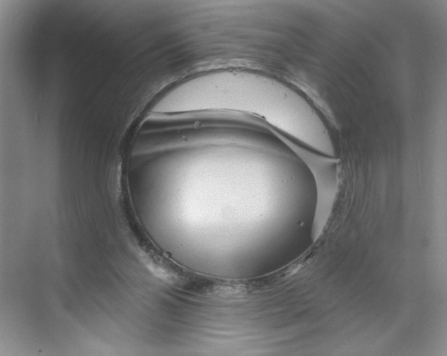 X0000070180110200606091517