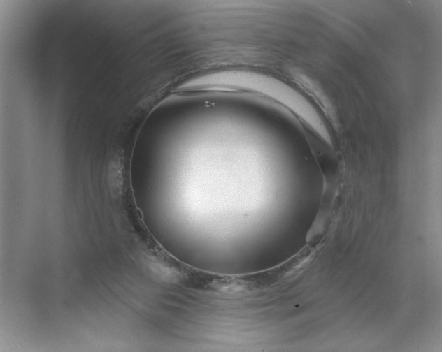 X0000070180113200606091517