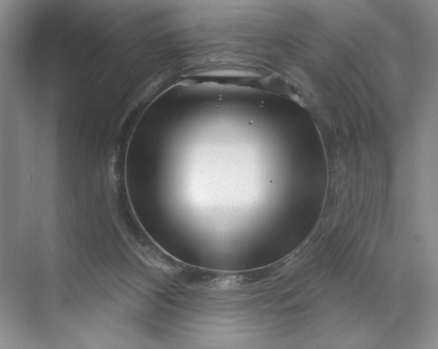 X0000070180116200606091517