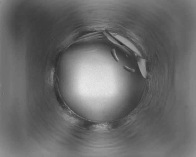 X0000070180118200606091517