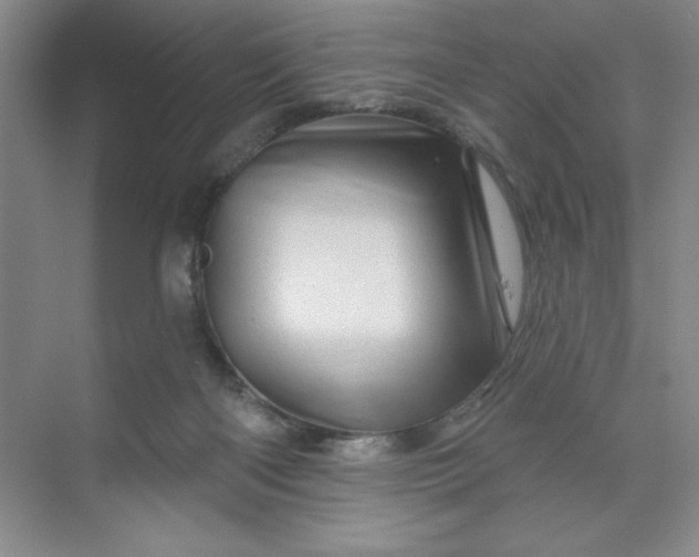 X0000070180122200606091516