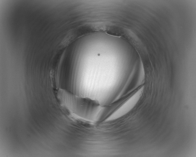 X0000070180125200606091516