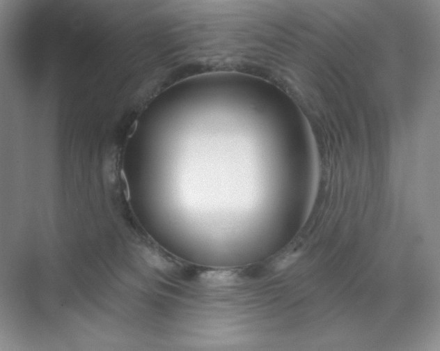 X0000070180133200606091516