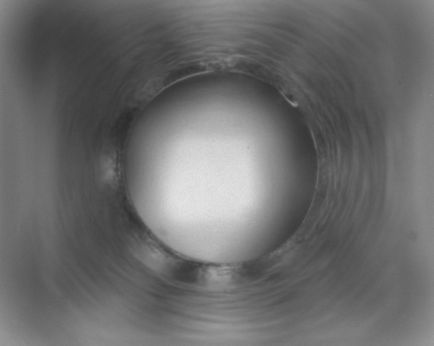 X0000070180134200606091516