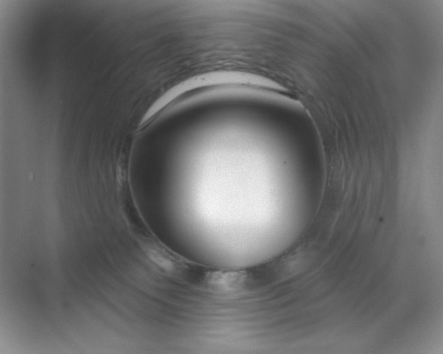 X0000070180135200606091516
