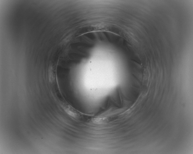 X0000070180136200606091516
