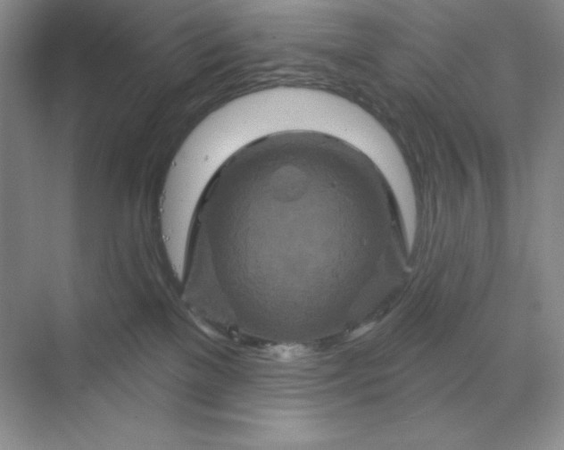 X0000070180137200606091516