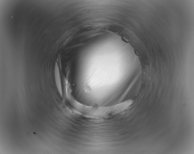 X0000070180138200606091516