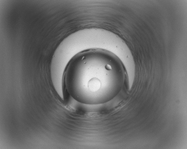 X0000070180141200606091516