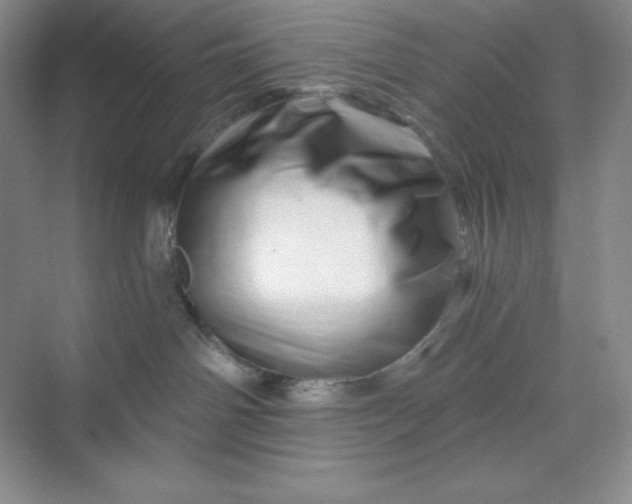 X0000070180142200606091516