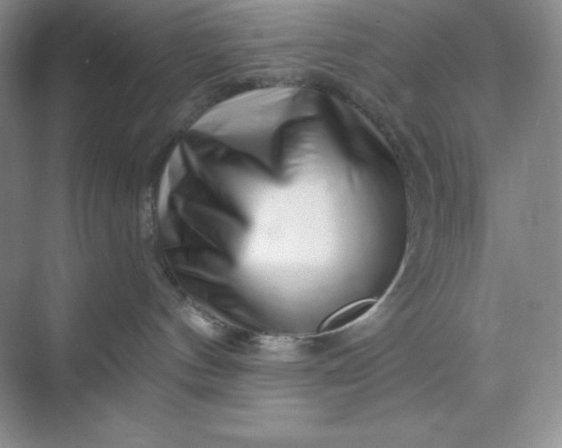 X0000070180144200606091516