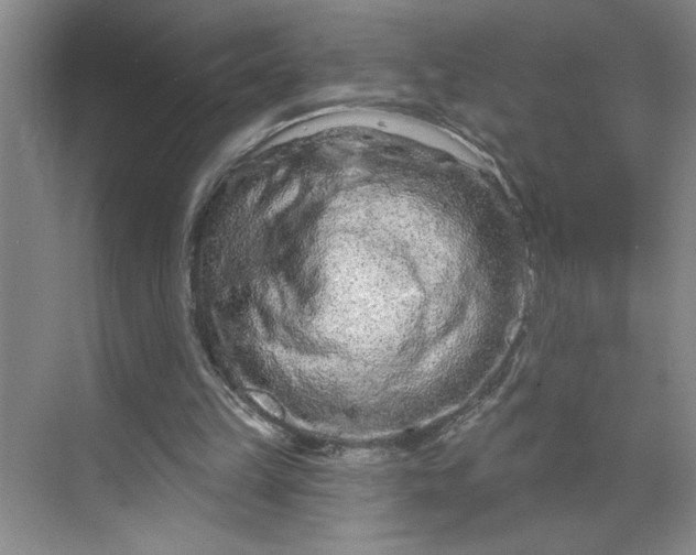 X0000070180149200606091515