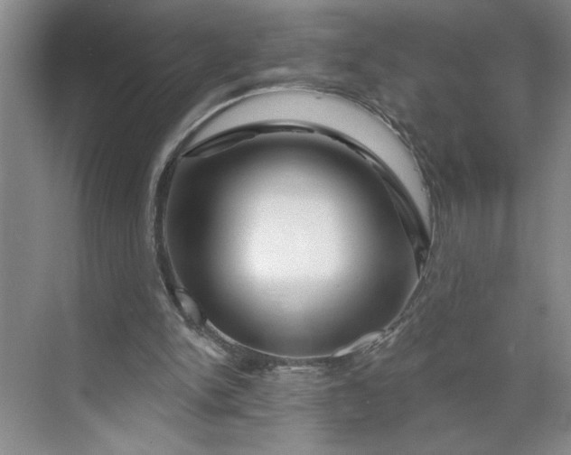 X0000070180150200606091515