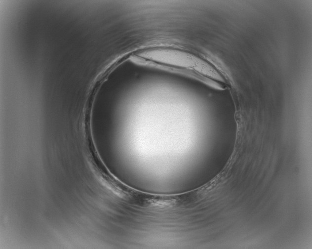 X0000070180155200606091515