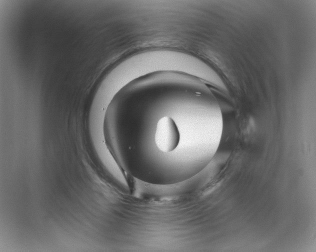 X0000070180164200606091516