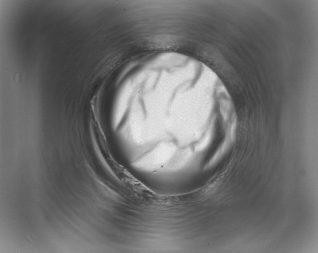 X0000070180166200606091516