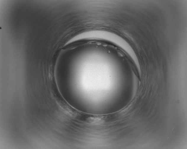 X0000070180170200606091516