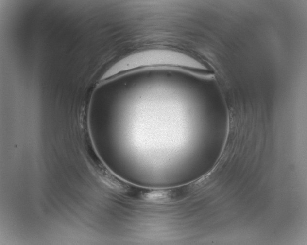X0000070180171200606091516