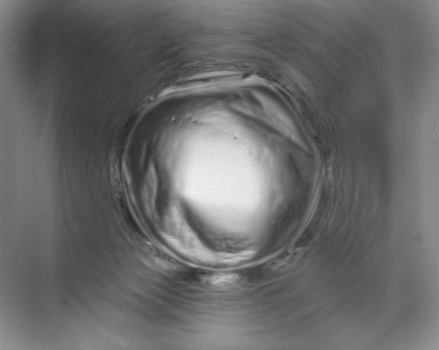 X0000070180173200606091516