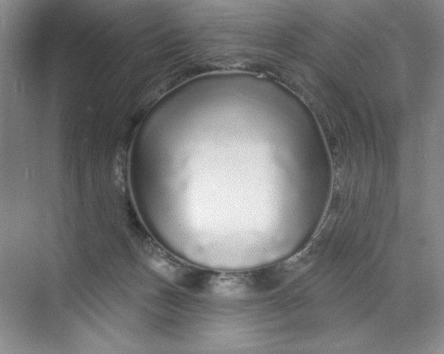 X0000070180175200606091516