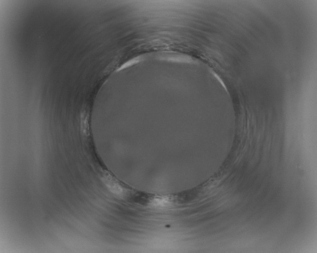 X0000070180177200606091516