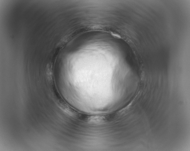 X0000070180179200606091516