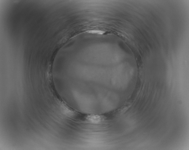 X0000070180181200606091516