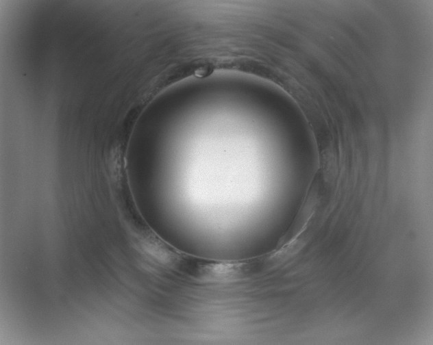 X0000070180184200606091516