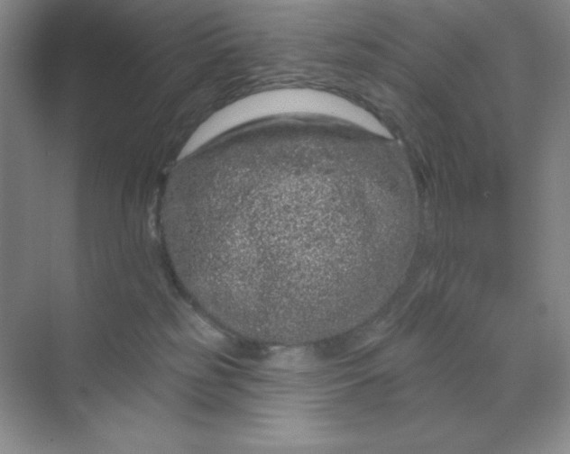 X0000070180185200606091516