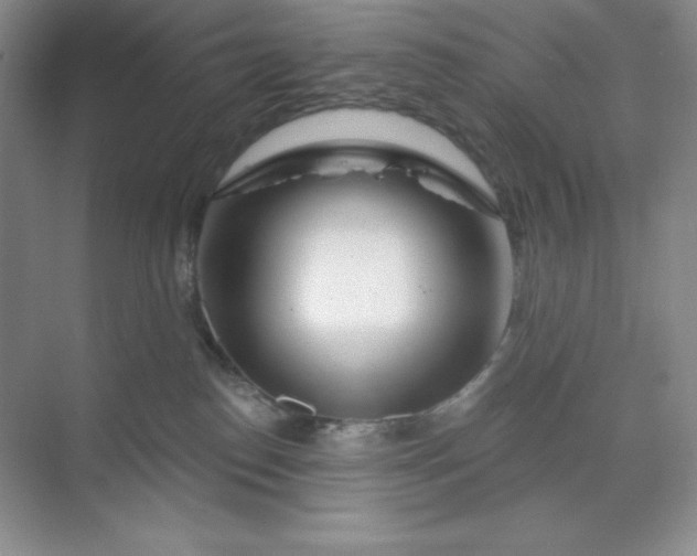 X0000070180186200606091516