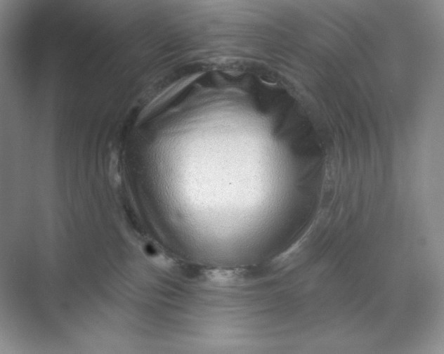 X0000070180187200606091516