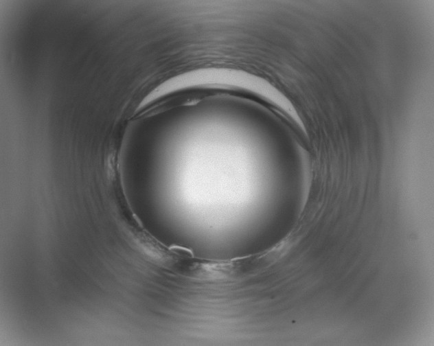 X0000070180188200606091516