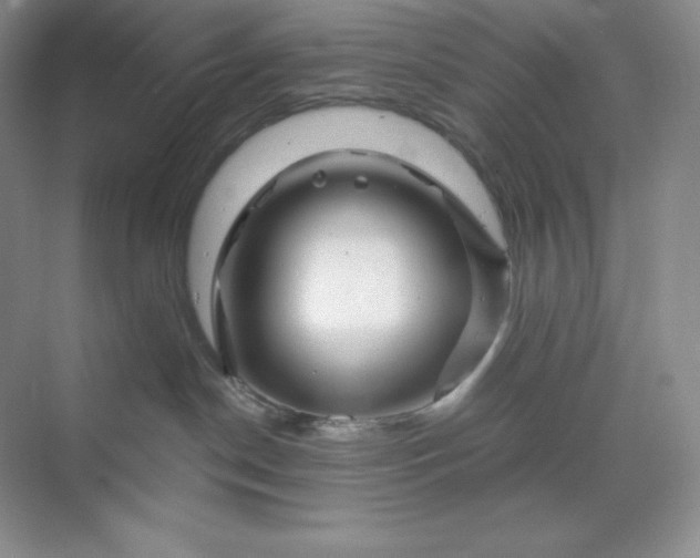 X0000070180190200606091516
