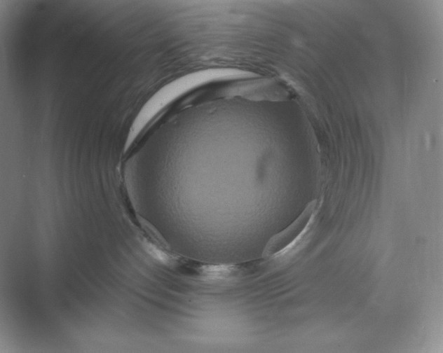 X0000070180192200606091516