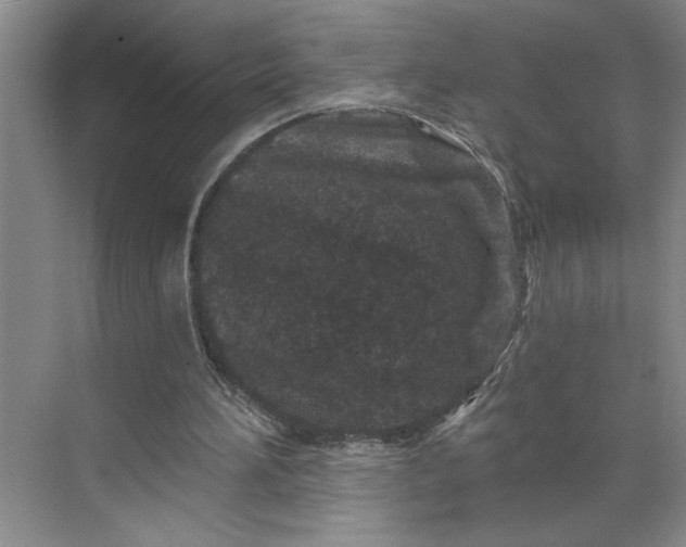 X0000070180196200606091515