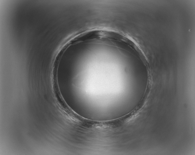 X0000070180199200606091515