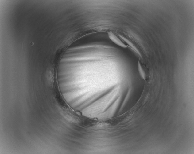X0000070180210200606091515