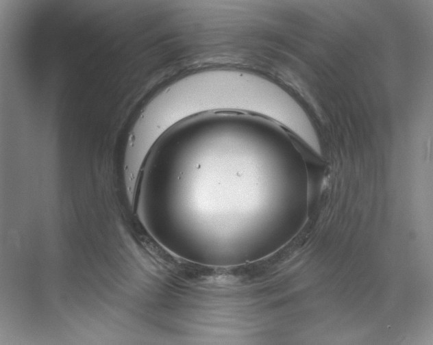 X0000070180212200606091515