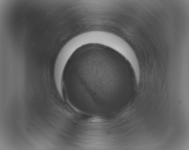 X0000070180219200606091515