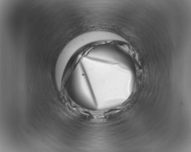 X0000070180225200606091515