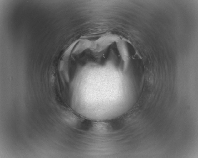 X0000070180226200606091515