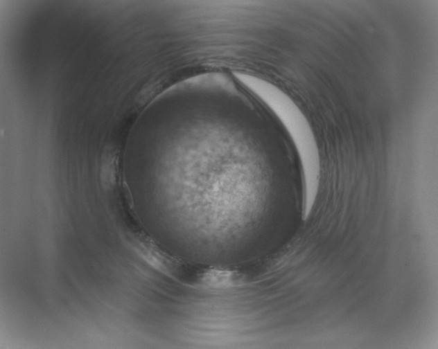 X0000070180227200606091515