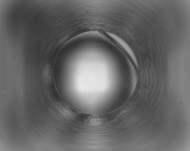 X0000070180228200606091515